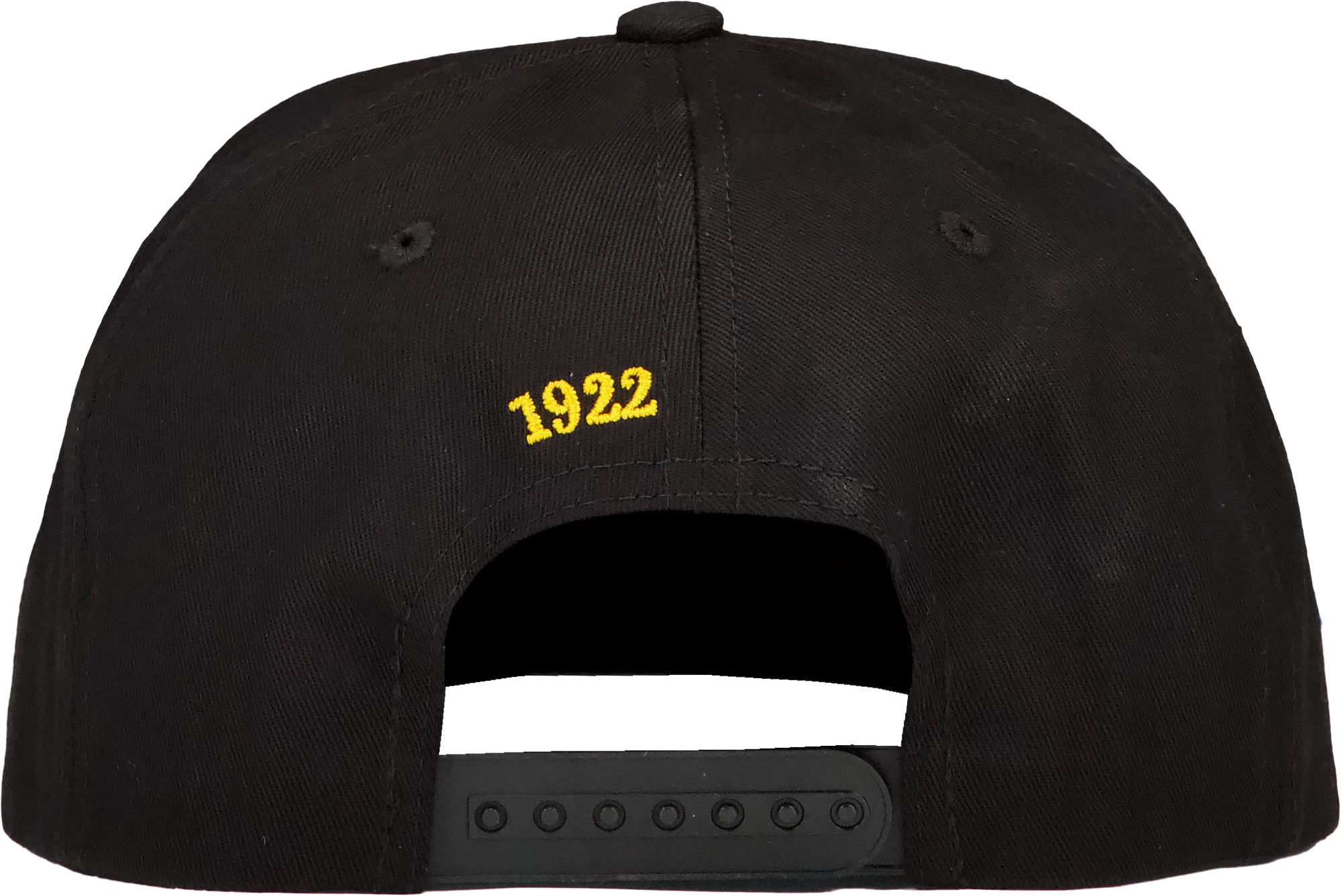 EVF Sticks Snapback